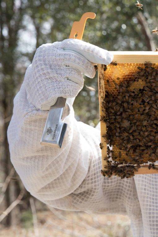 close up of man wearing beekeeping gloves