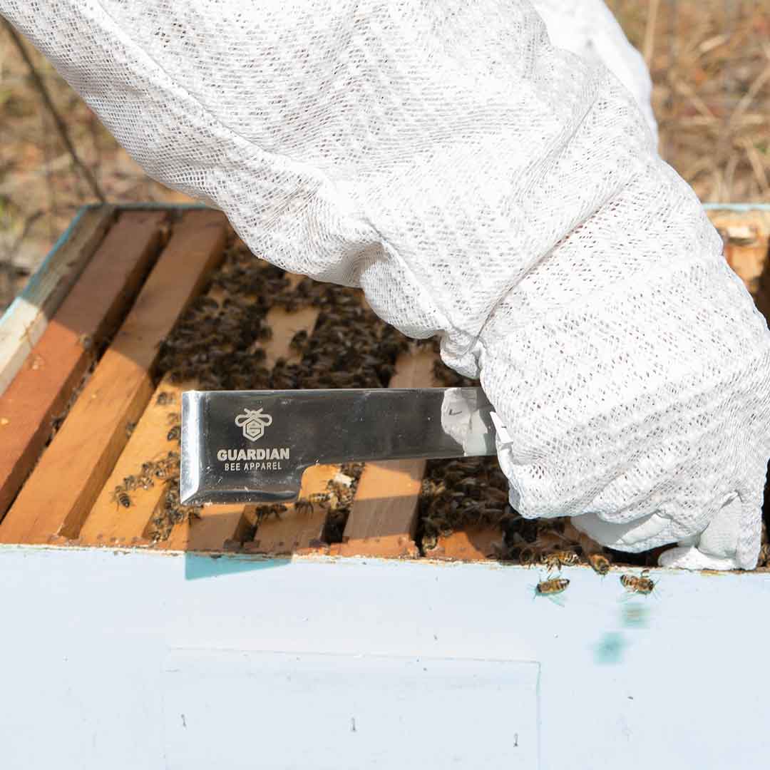 Beekeeper Hive Beekeeping Tools Bee Hook Equip Stainless Steel Scrape Soy2EXW&LU 