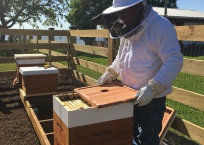 man in beekeeping outfit
