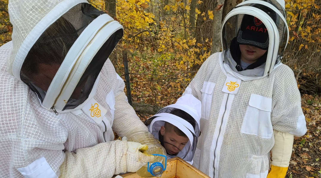 How to Become a Beginner Beekeeper